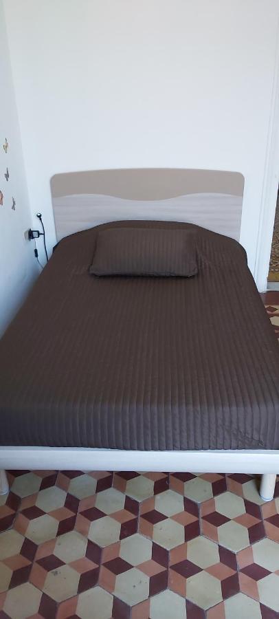 Arena Alfieri B&B Ливорно Экстерьер фото