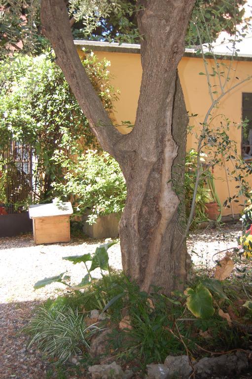 Arena Alfieri B&B Ливорно Экстерьер фото